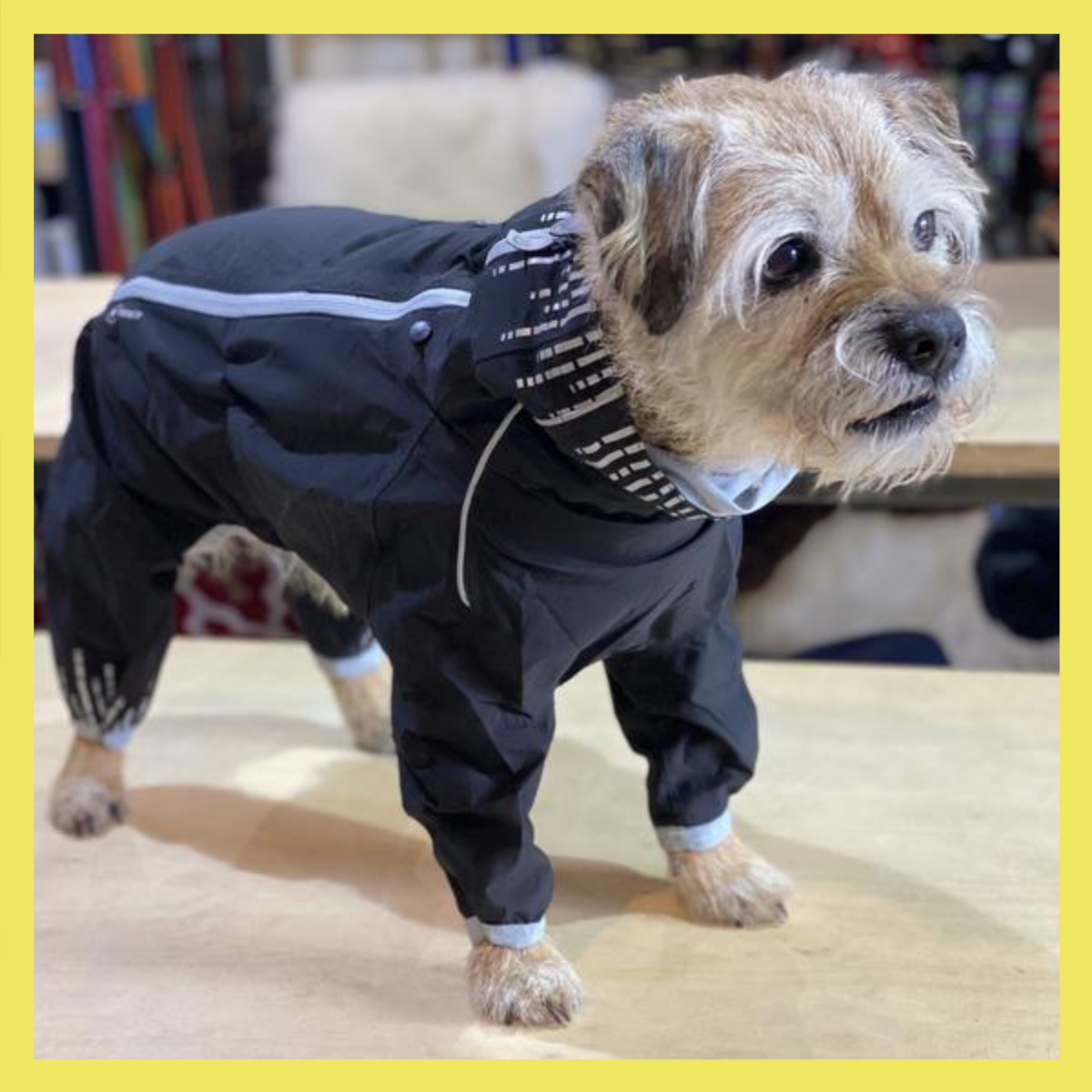 Hurtta Collection Sizing Guide How to Fit The Hurtta Downpour Suit