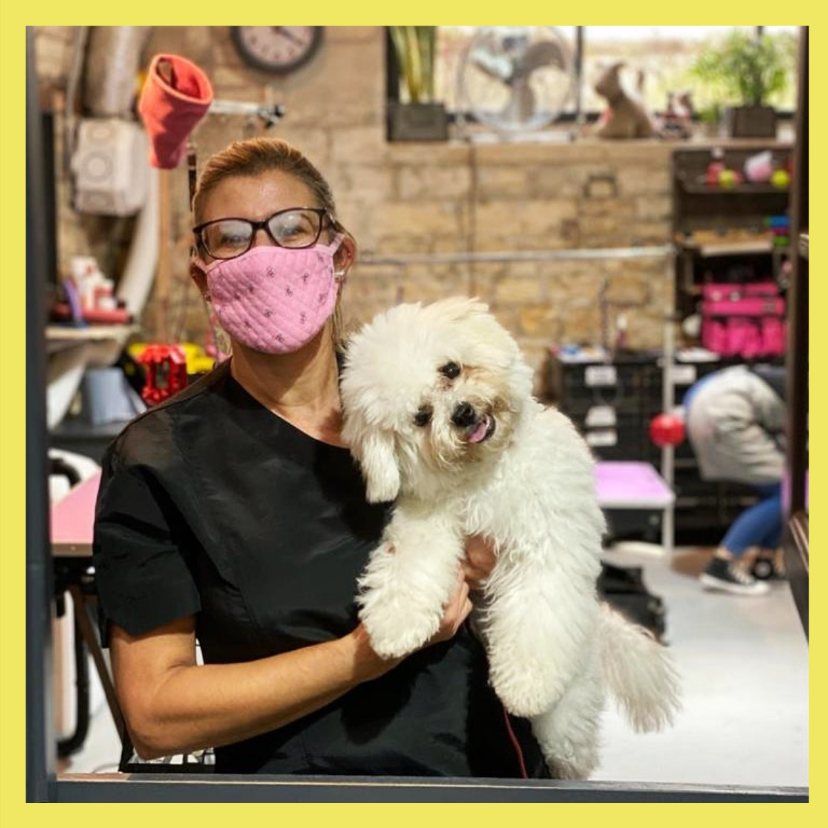 Are Dog Groomers Allowed to Stay Open in England’s Lockdown? DOGHOUSE