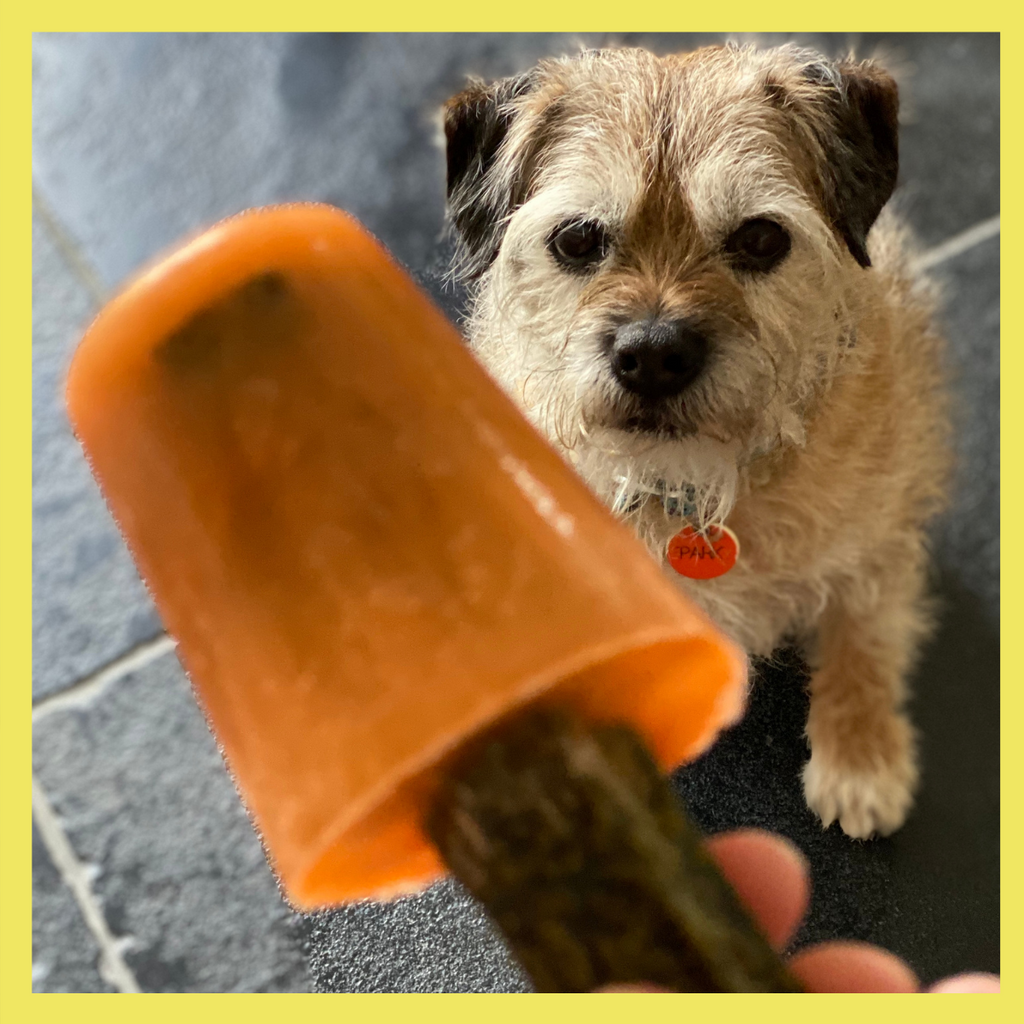 iced pupsicles for dogs