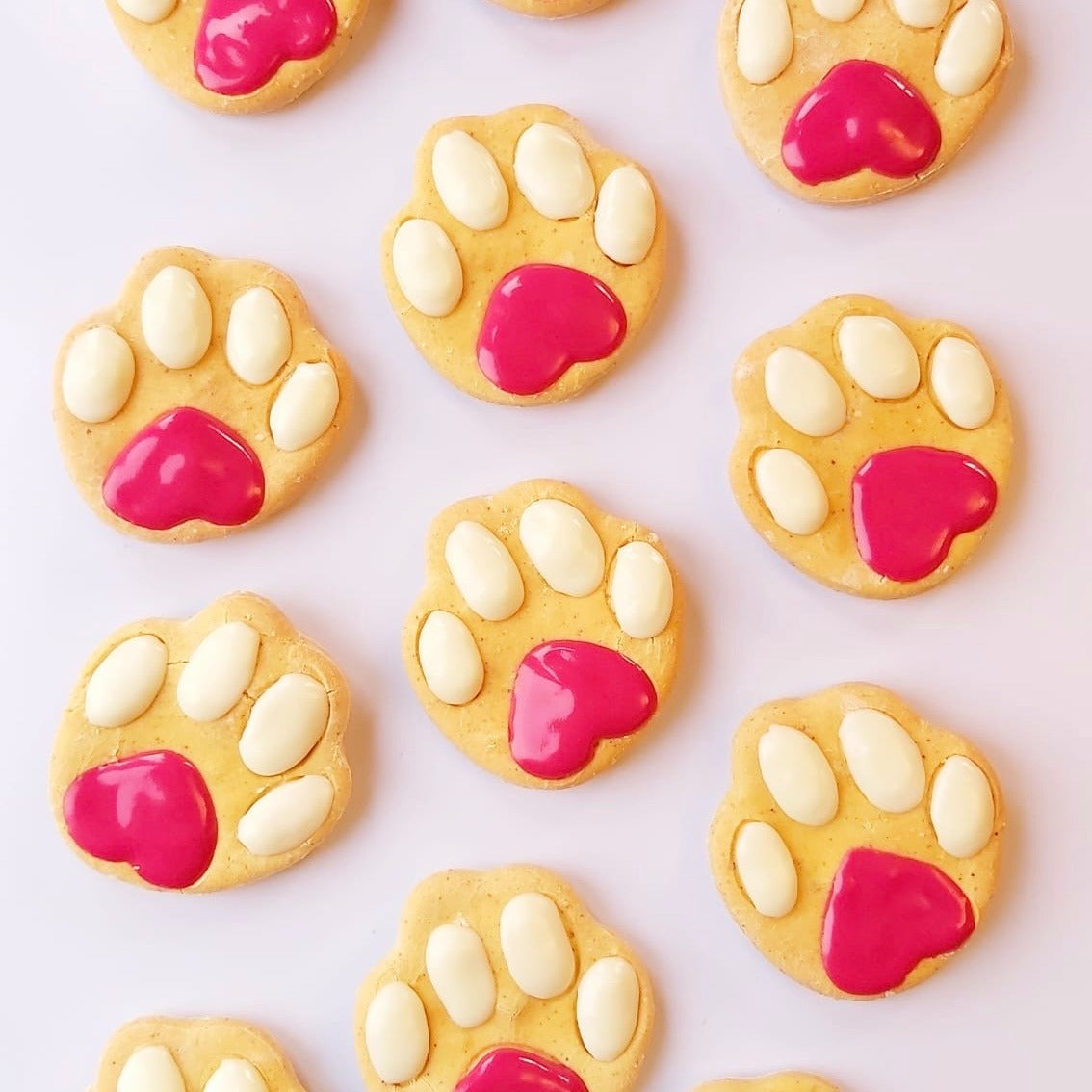 Pawprint Biscuits for Dogs Hand Baked by Award Winning Baker
