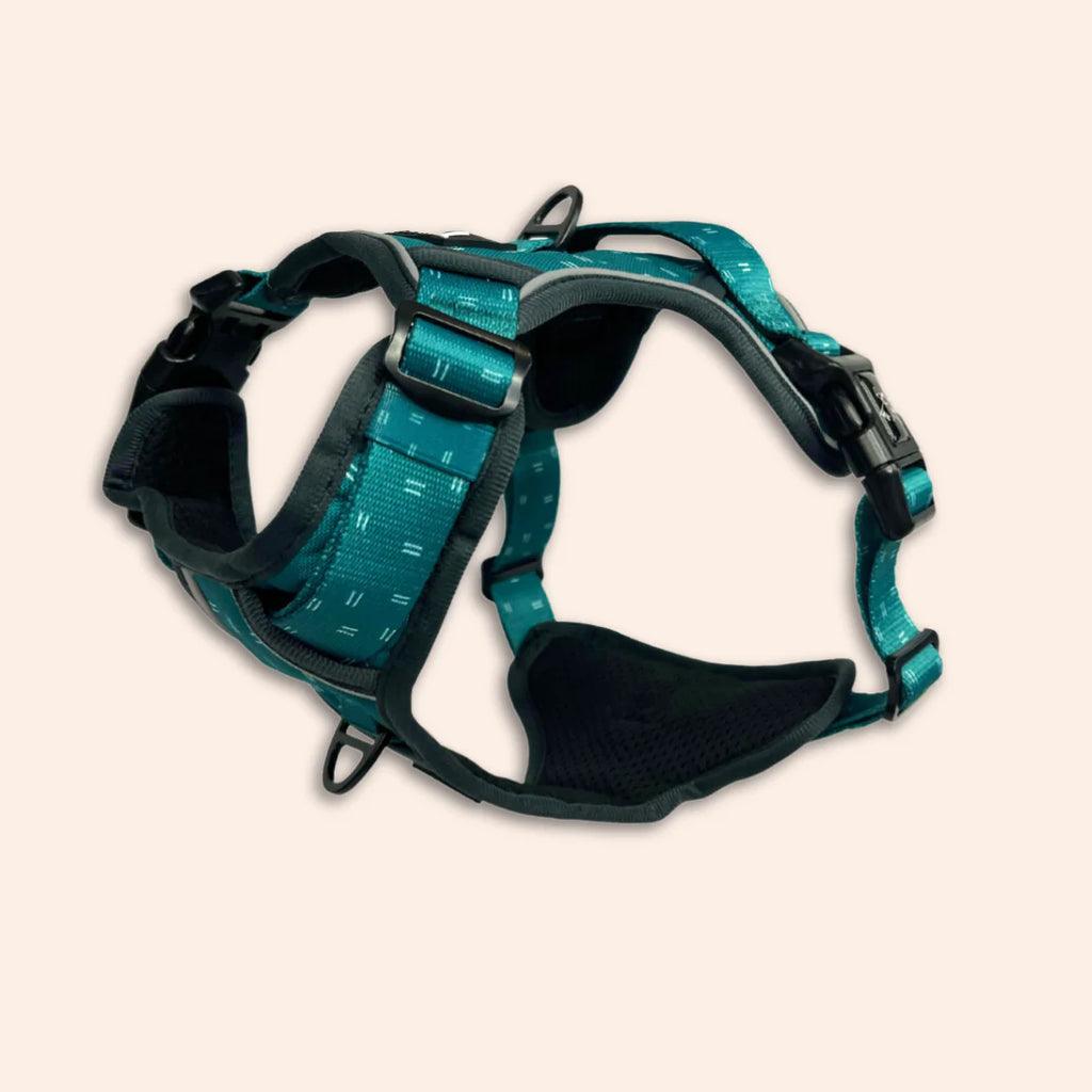 Twiggy Tags Adventure Harness in Tranquil