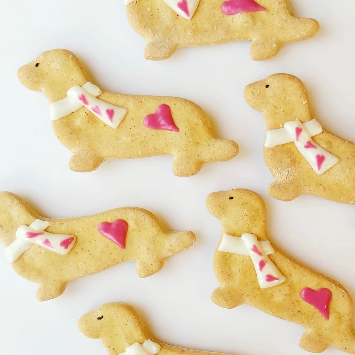 Handmade Dachshund Biscuits for Dogs AwardWinning Baker Doghouse