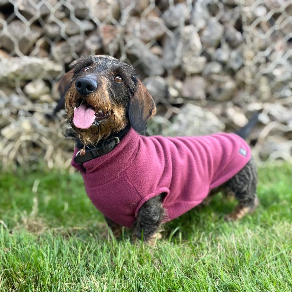 Standard Dachshund Fleece Jumper Doghouse Dog Jumpers DOGHOUSE