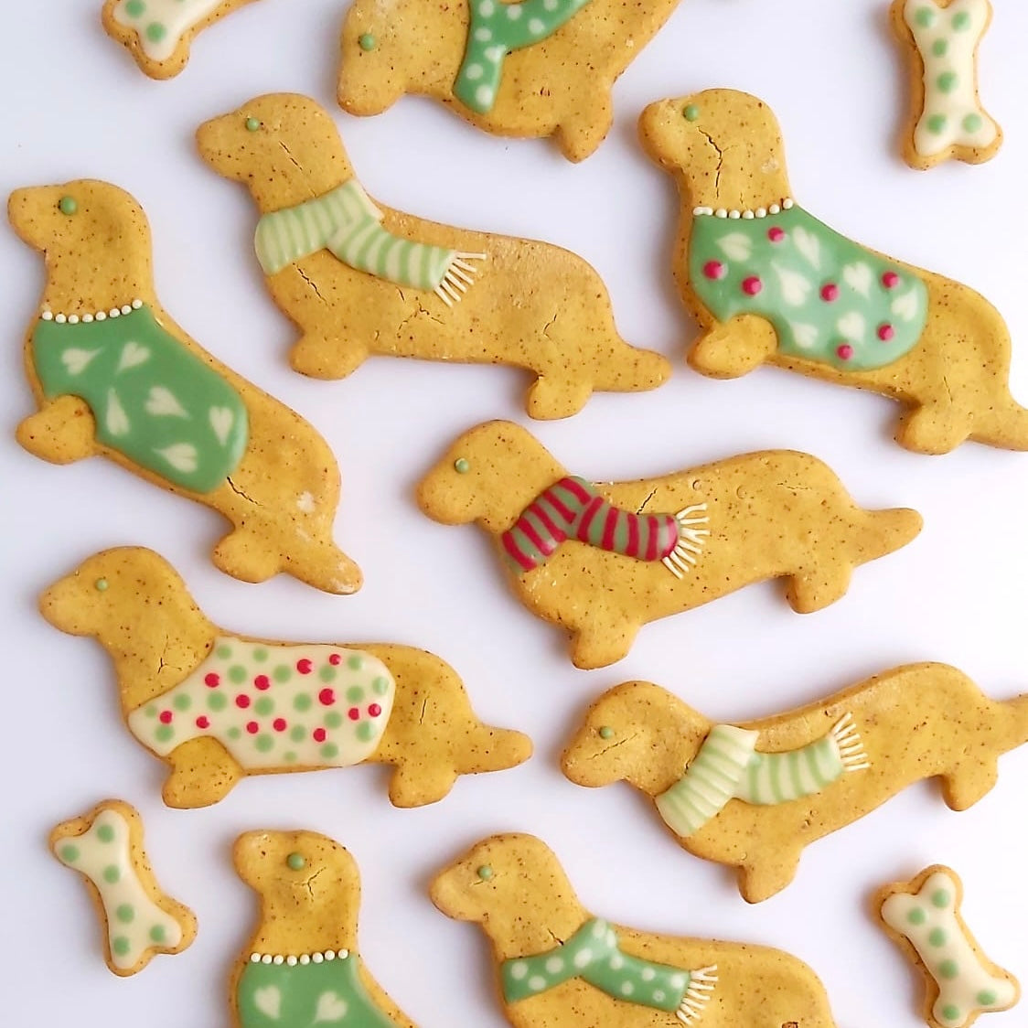 Handmade Dachshund Biscuits for Dogs AwardWinning Baker Doghouse