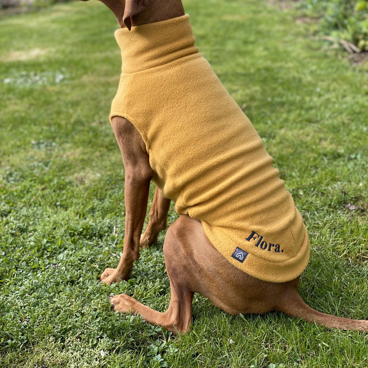 Large Breed Vizsla Fleece Jumper Doghouse Fleeces Layer up for Winter DOGHOUSE