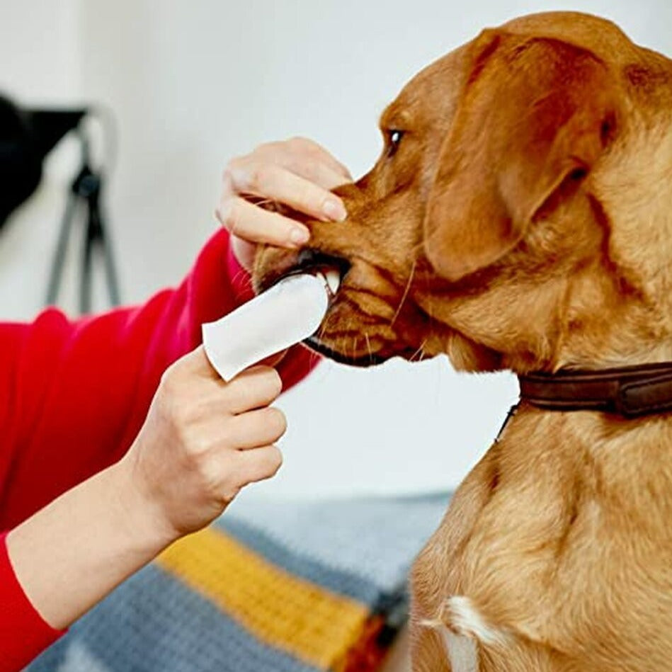 teeth cleaning pads for dogs