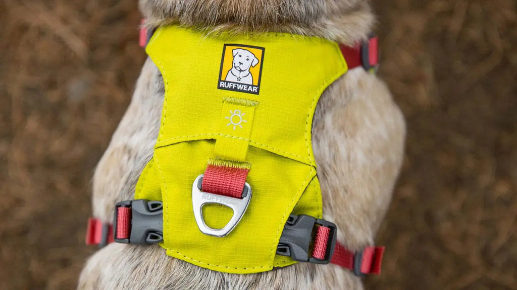 Ruffwear Hi & Light™ Everyday Dog Harness