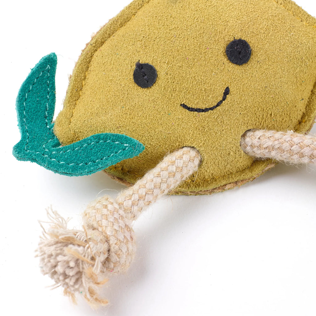Libby the Lemon Eco Dog Toy Green and Wilds