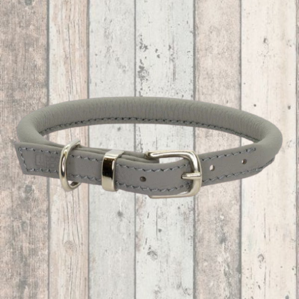 grey rolled dogs and horses collar