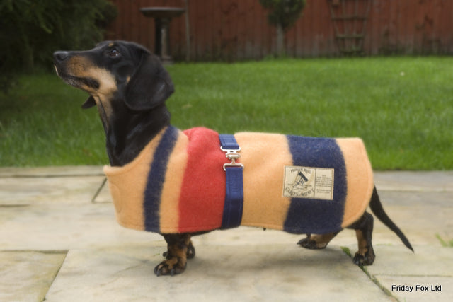 warm thick winter coat for Dachshunds