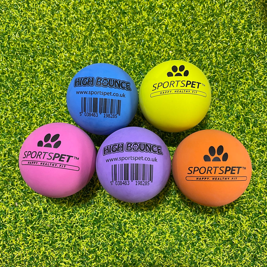 SportsPet High Bounce Rubber Ball - Doghouse