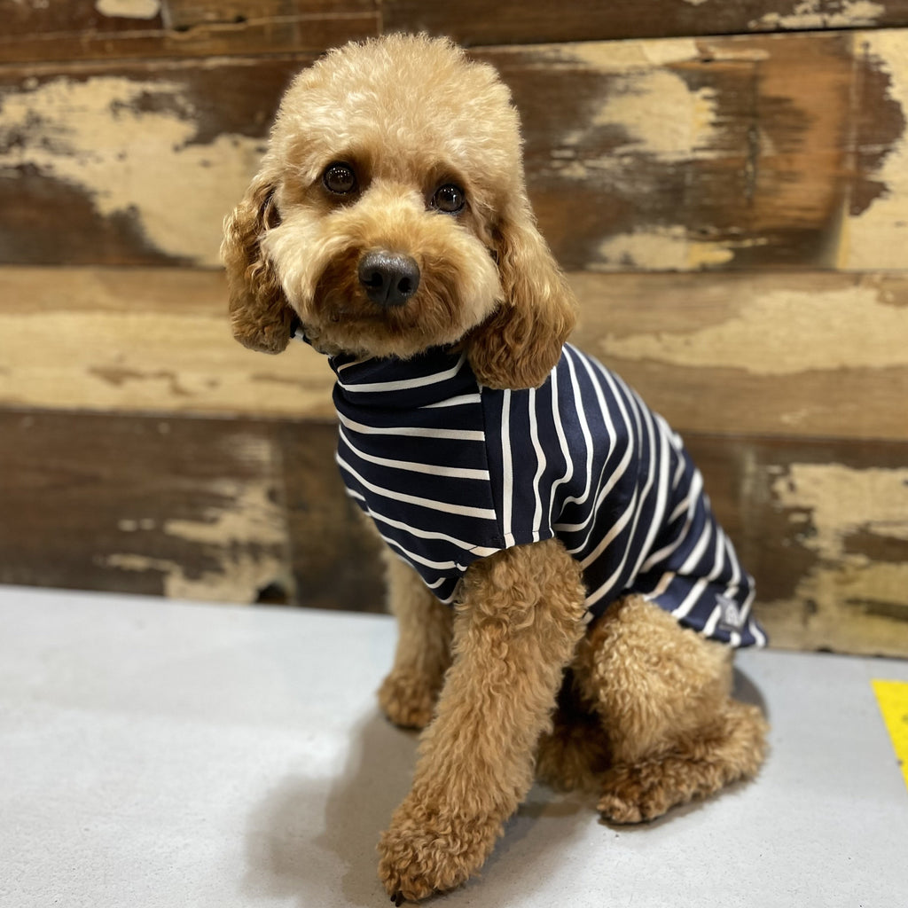 stripy t shirt for dogs