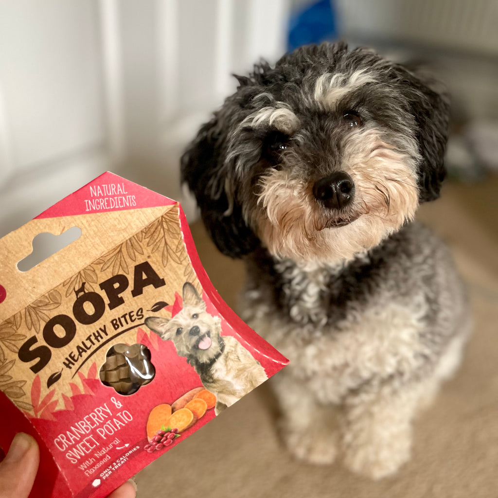Soopa Healthy Bites - DOGHOUSE