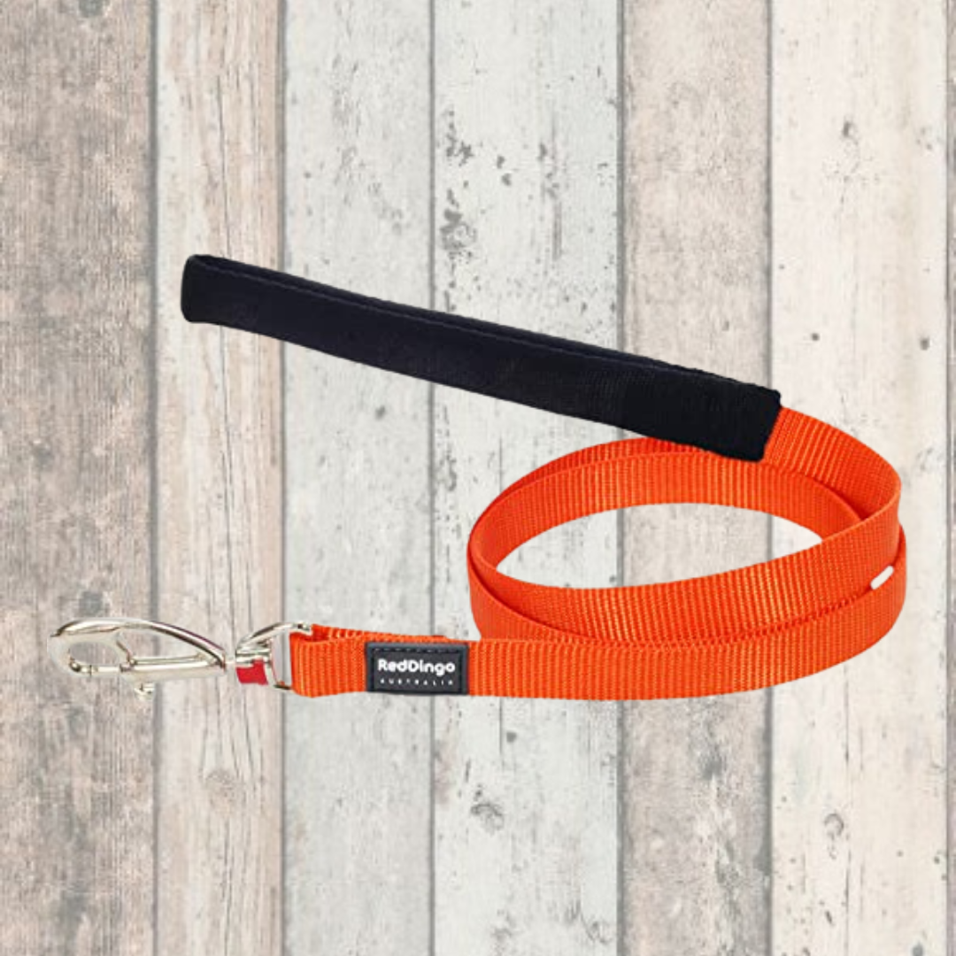 Red Dingo Simply Orange Dog Lead Doghouse DOGHOUSE