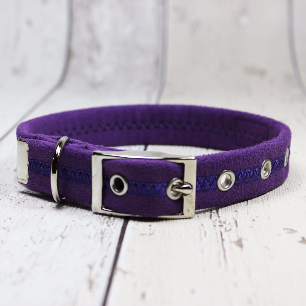 Purple Oscar and Hooch Dog Collar - Doghouse