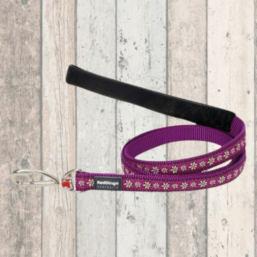 Dog Lead Red Dingo Purple (2.5 x 120 cm) main image 1