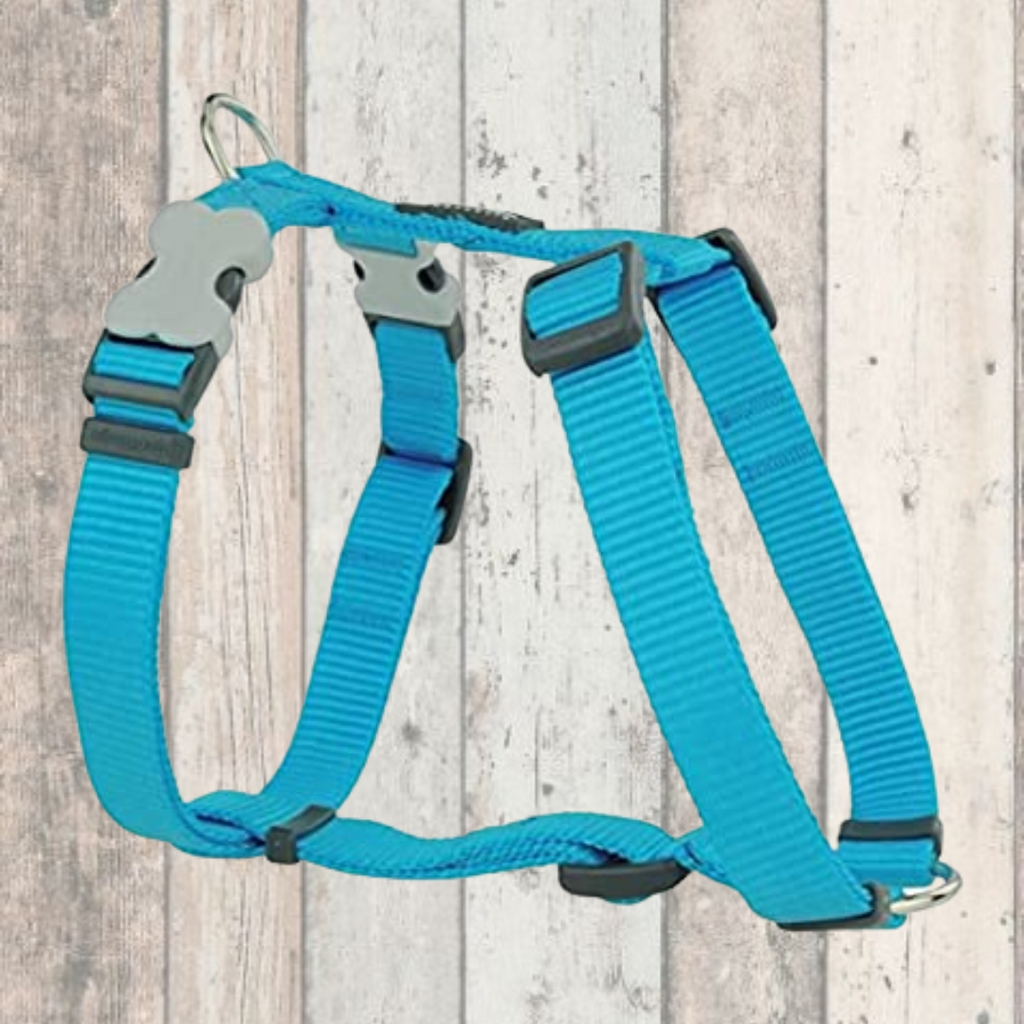 Turquoise Dog Harness by Red Dingo