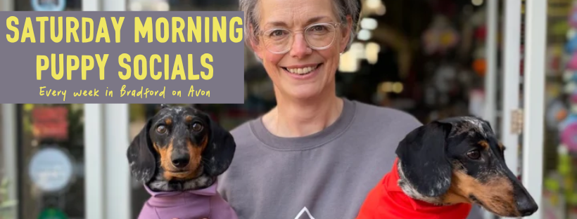 Saturday Morning Puppy Socials in Bradford on Avon