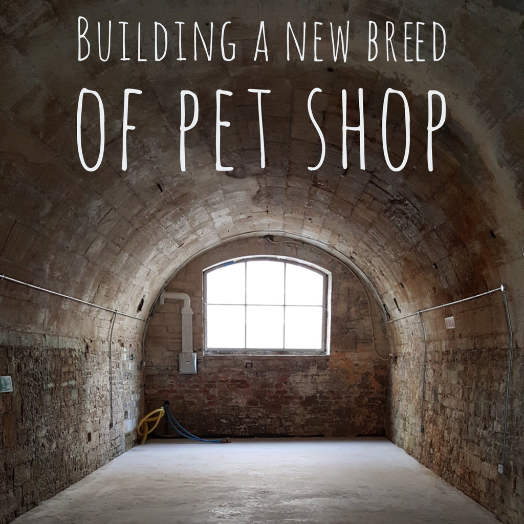 Building a new breed of pet shop
