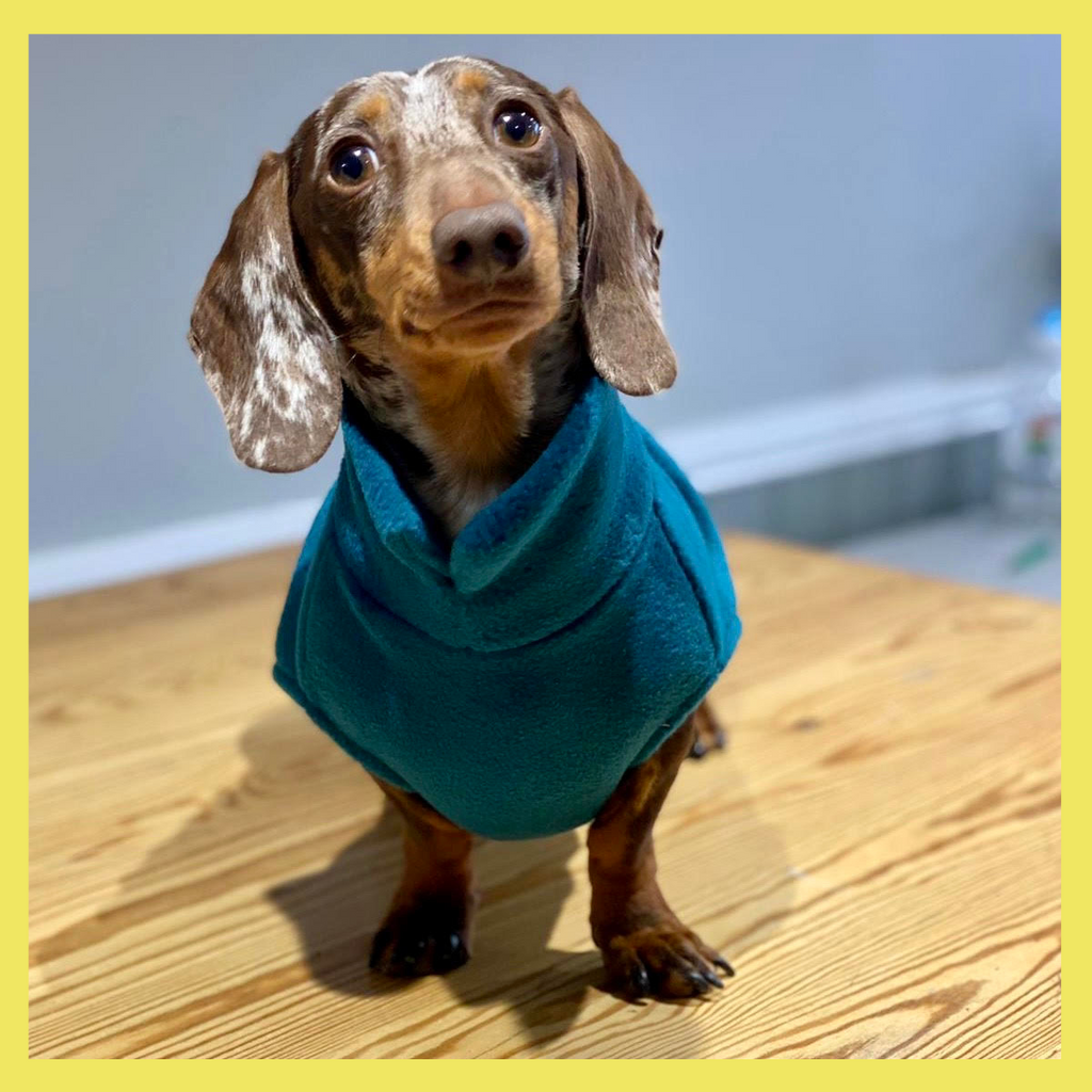 How to Fit the Doghouse Dachshund Fleece Jumpers