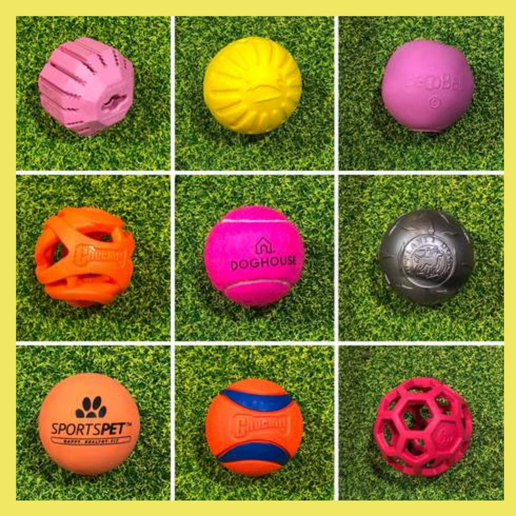 9 Best Dog Balls