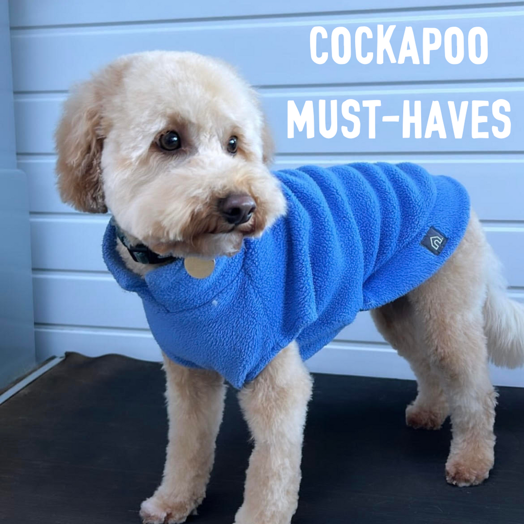 Cockapoo Must Haves 