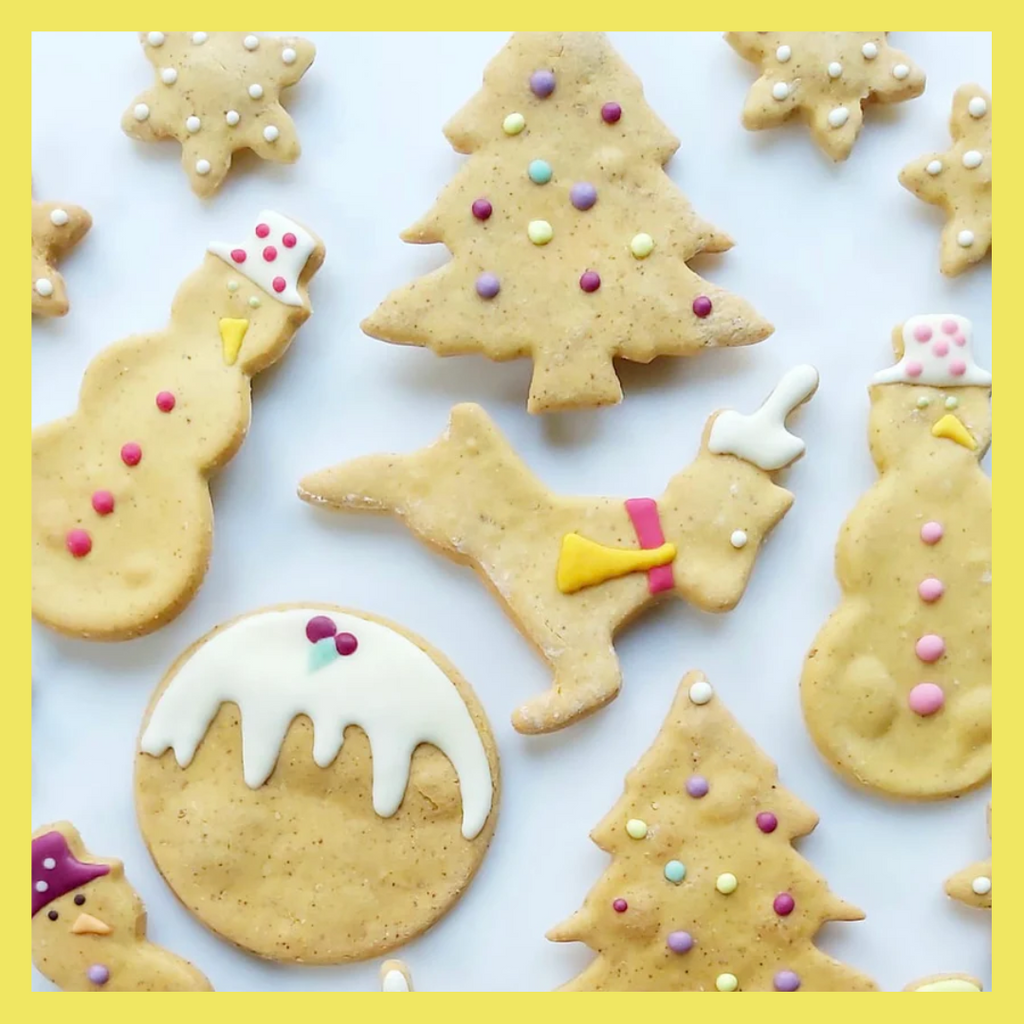 The Best Dog Stocking Fillers 2023 Our Gift Guide Doghouse