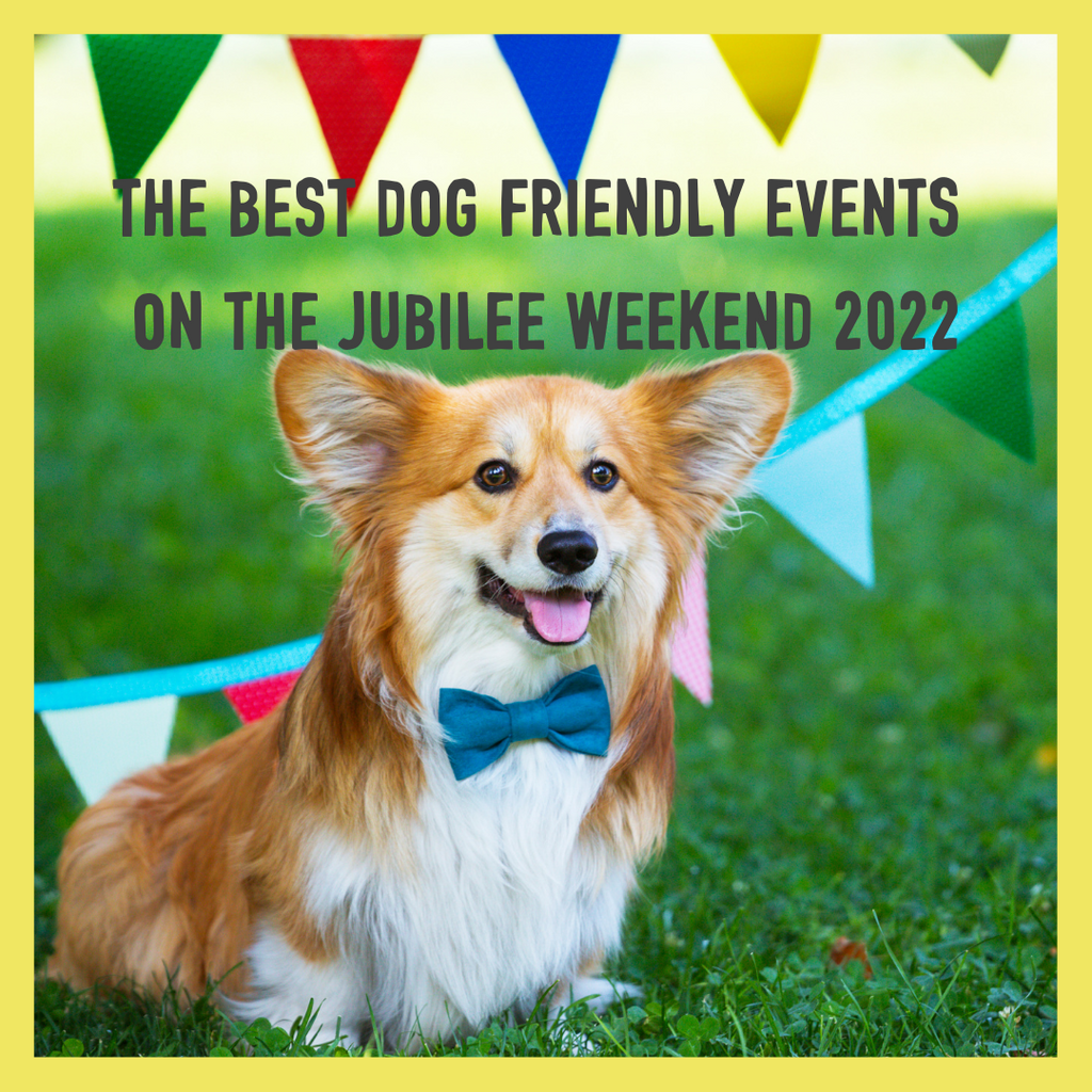 The Best Dog Friendly Events on the Jubilee Weekend