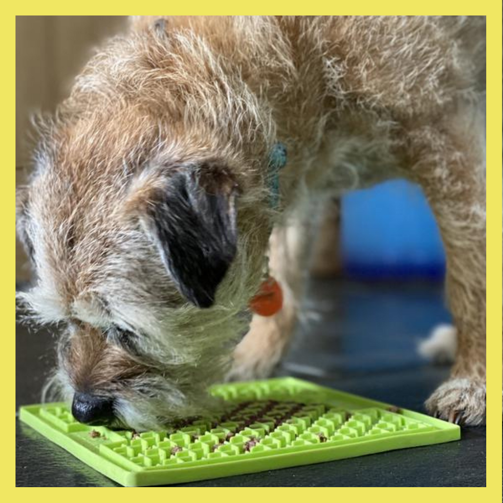 Want to keep your pup busy? Frozen lick mats are a great way to