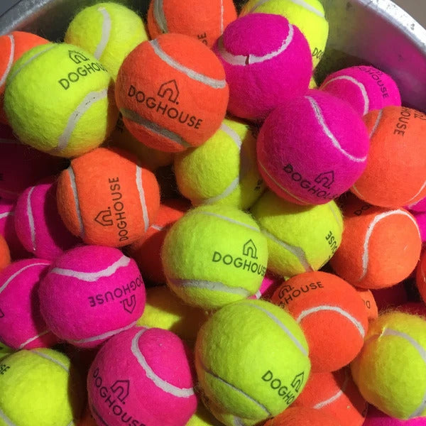 doghouse tennis balls