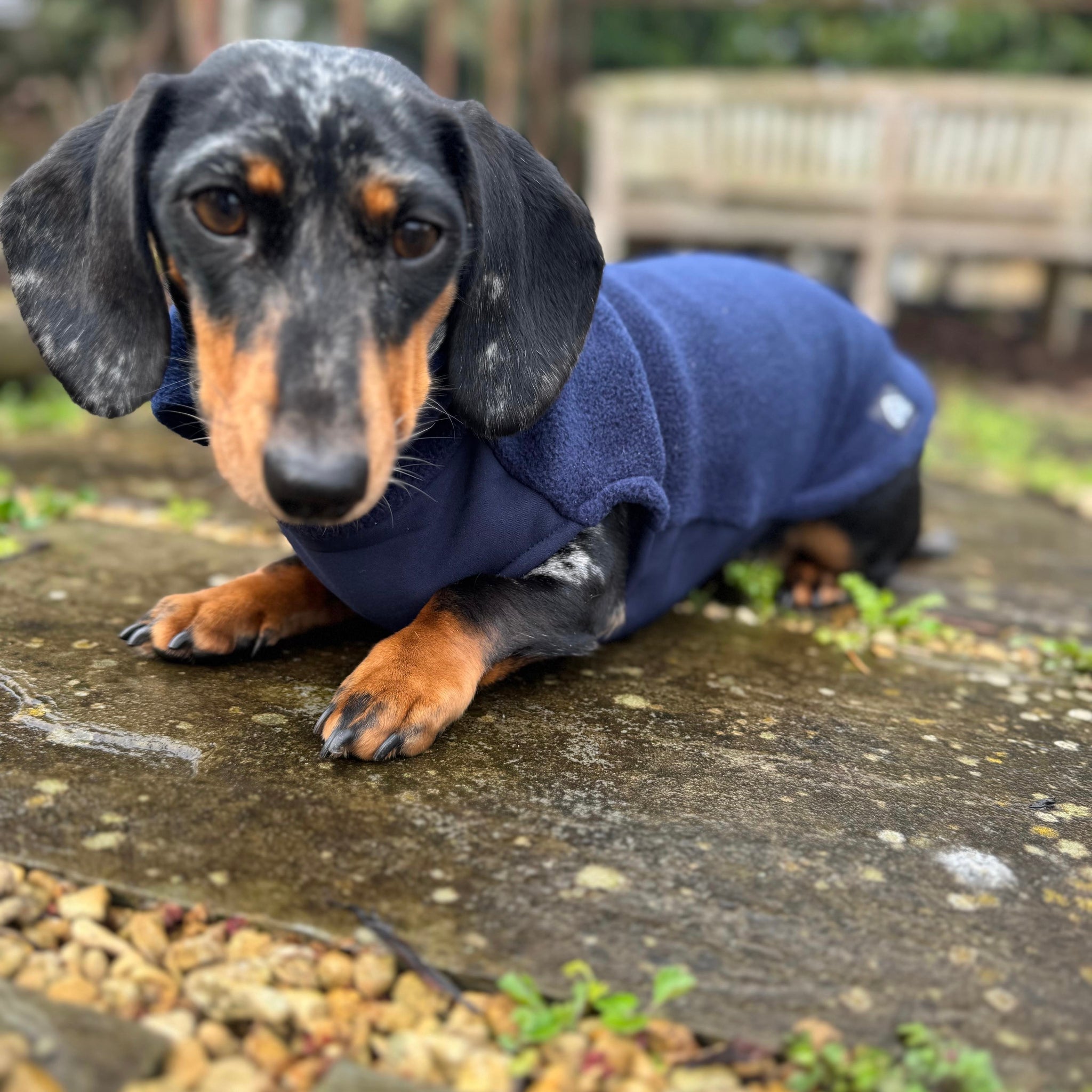 Dachshund Fleece Christmas Sausage Dog Jumper Dachshund Fleece