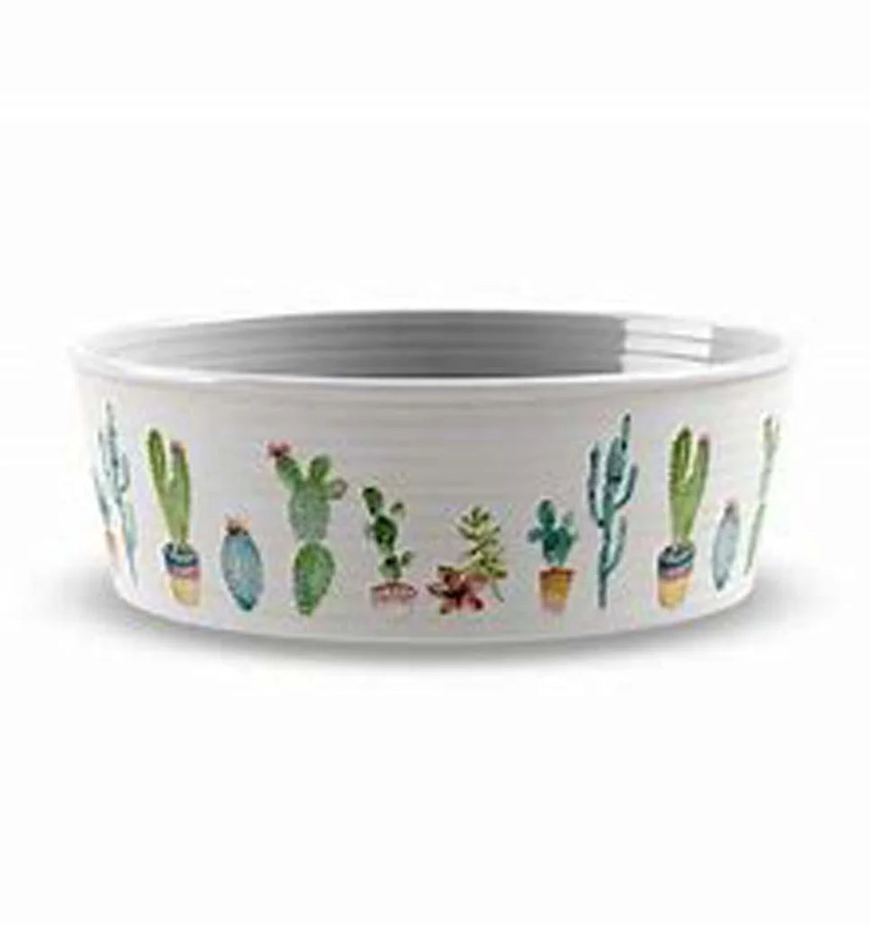 cactus dog bowl