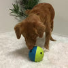Nina Ottosson Treat Tumble Ball Toy - DOGHOUSE