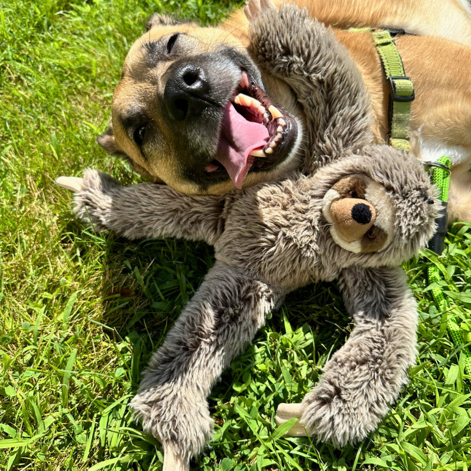 sloth dog toy fluff and tuff