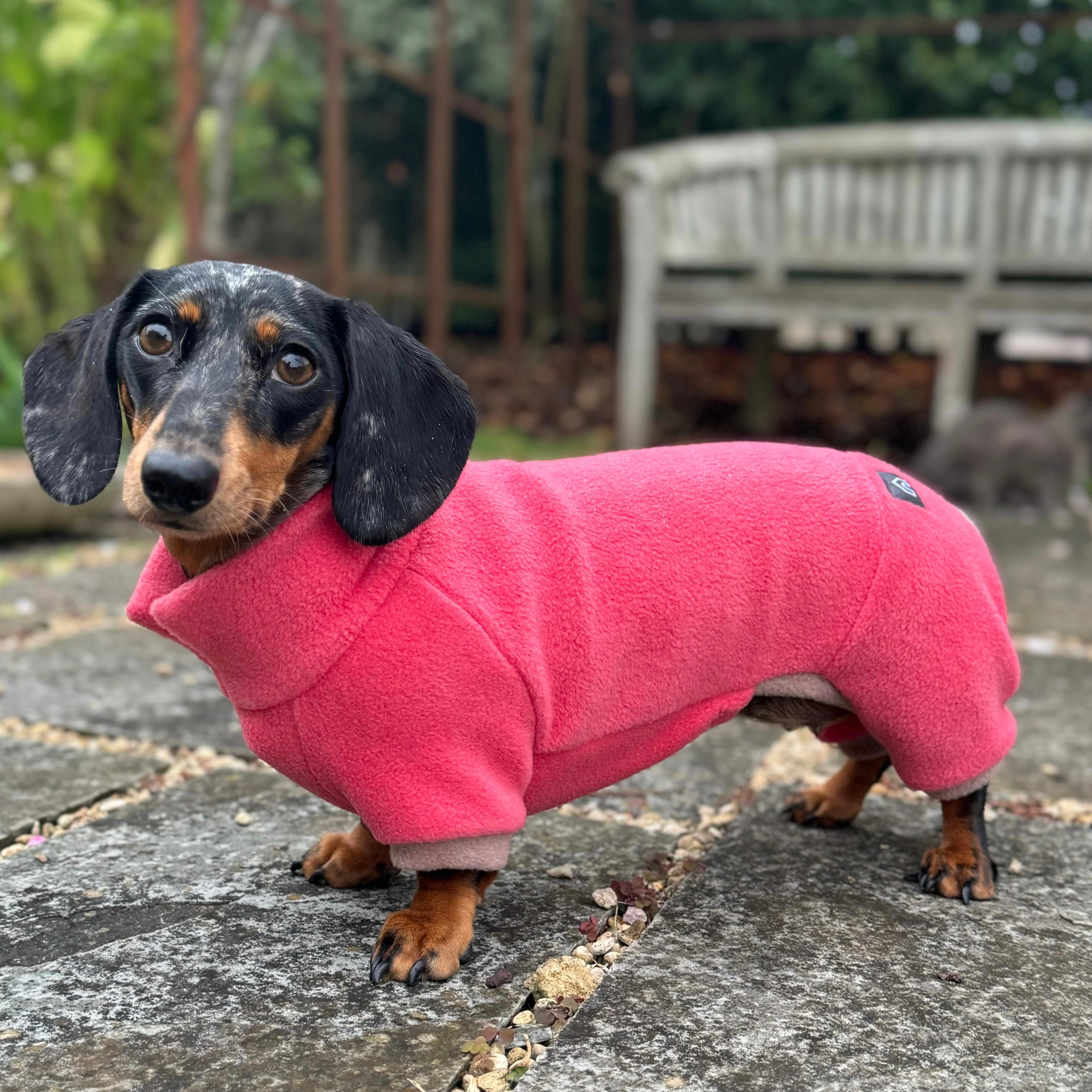 Dachshund Fleece Winter Suits with Legs DOGHOUSE