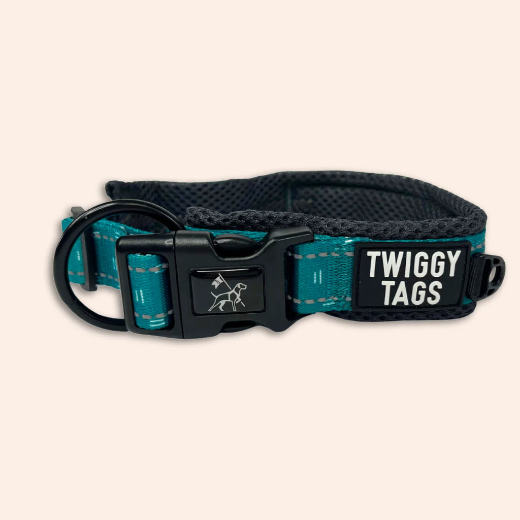 Twiggy Tags Adventure Collar in Tranquil