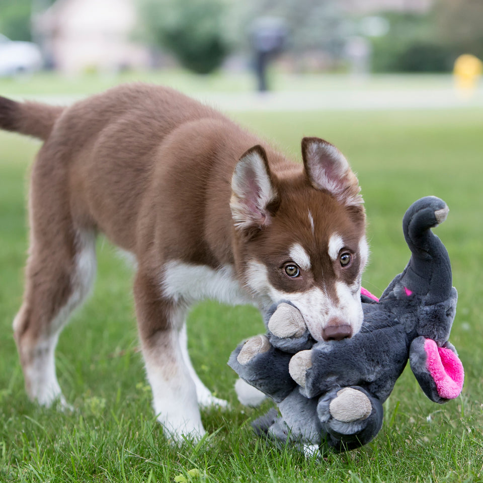 Edsel Elephant fluff and tuff toy