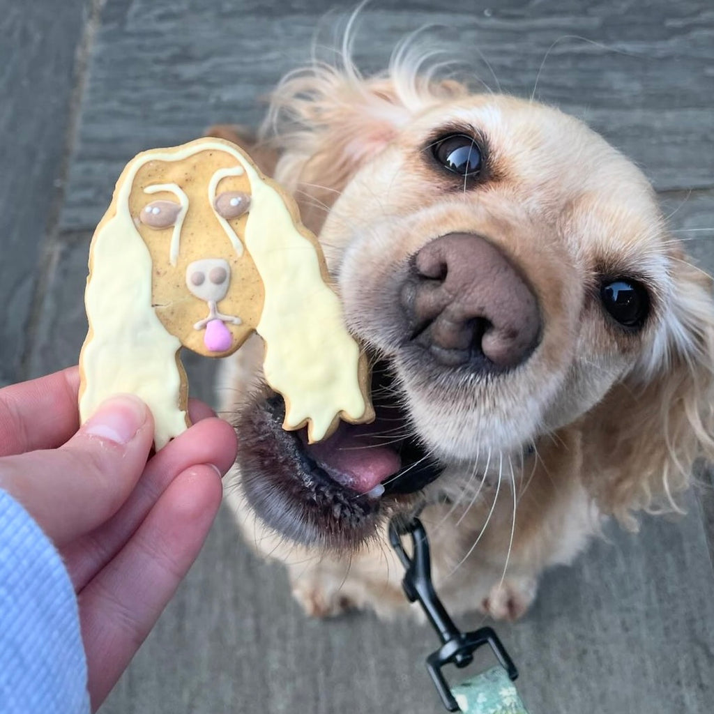 Gifts Dor Dogs Store Gifts Dor Dogs Photo Of In Gifts For Dogs