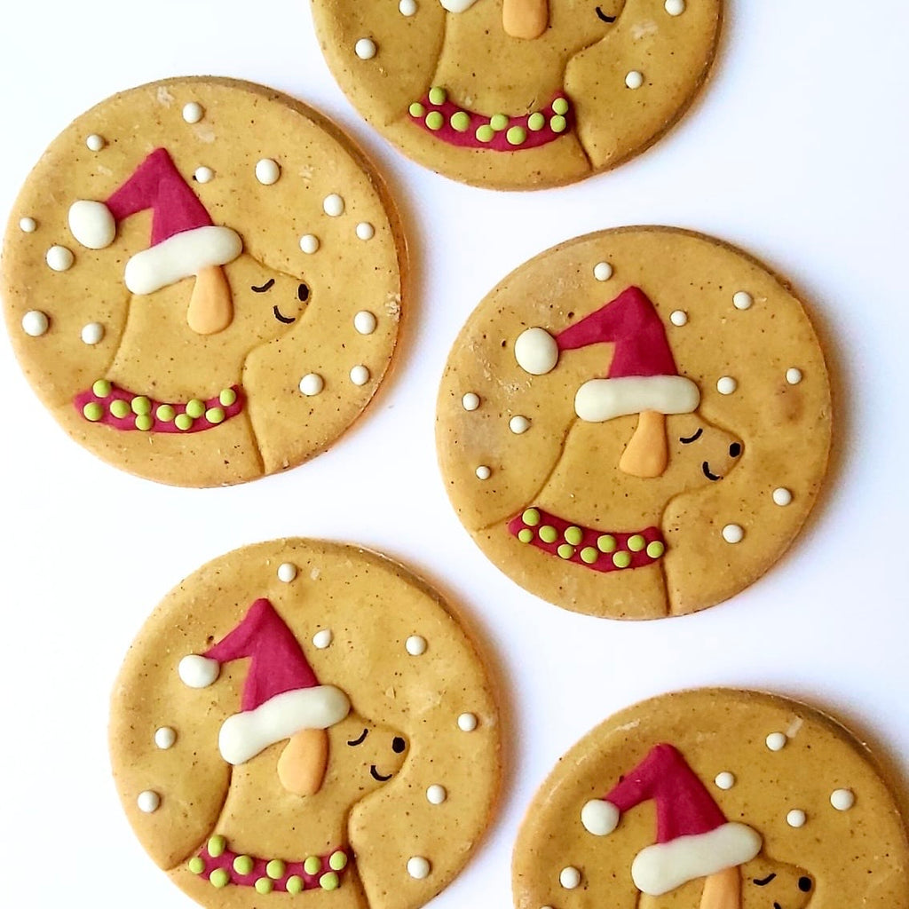 Xmas dog biscuits 