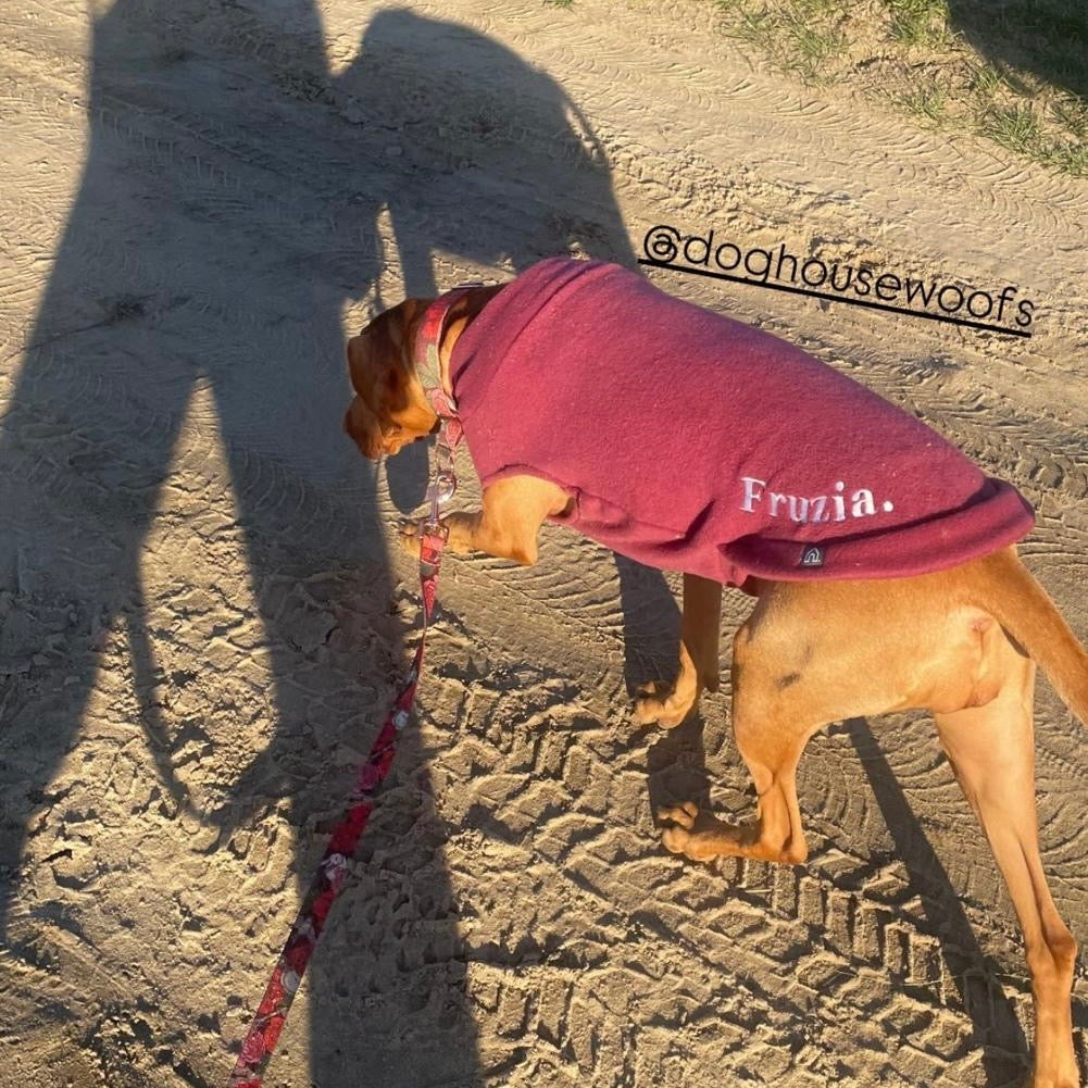 vizsla dog jumper