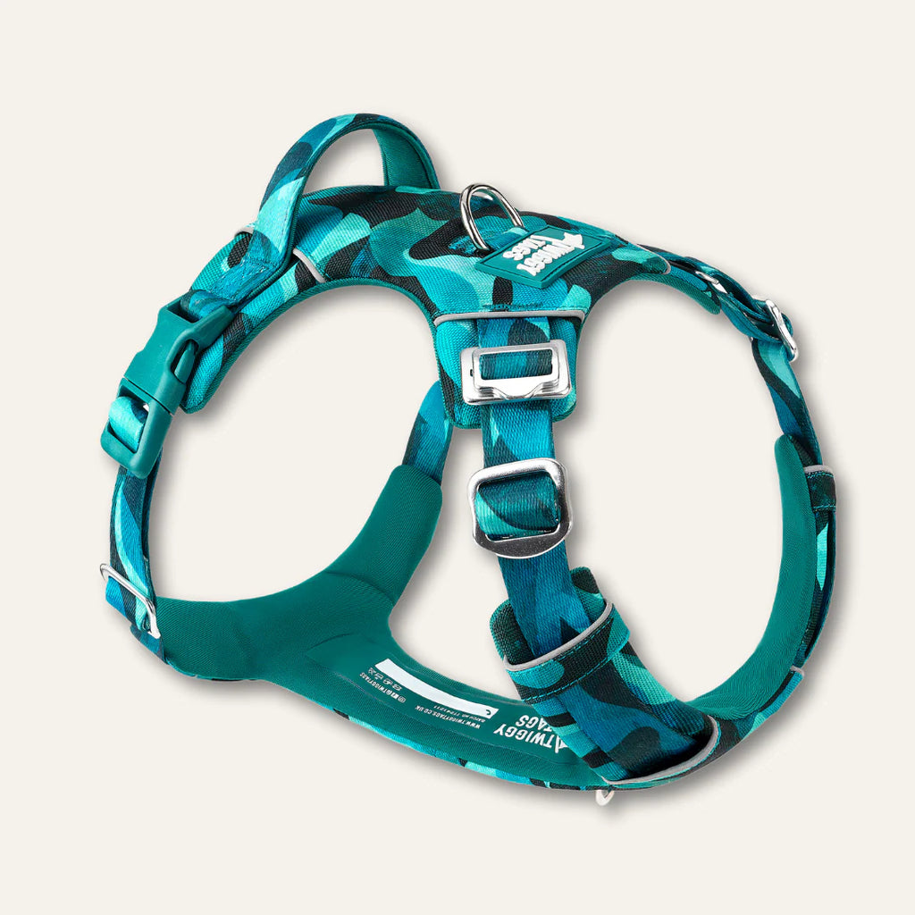 Twiggy Tags Adventure 2.0 Harness in Lagoon