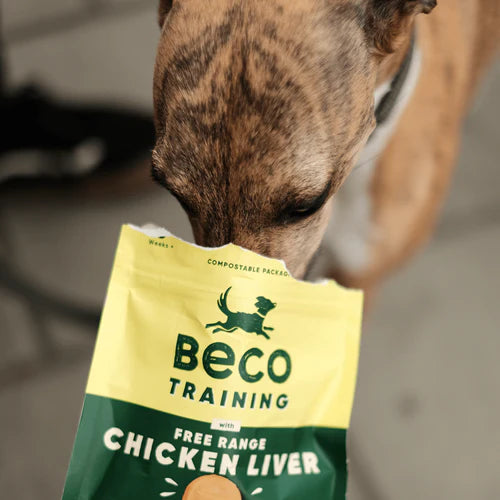 Chicken liver dog treats hot sale