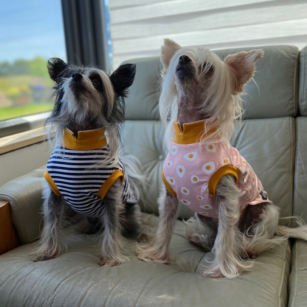 Chinese crested dog jumper