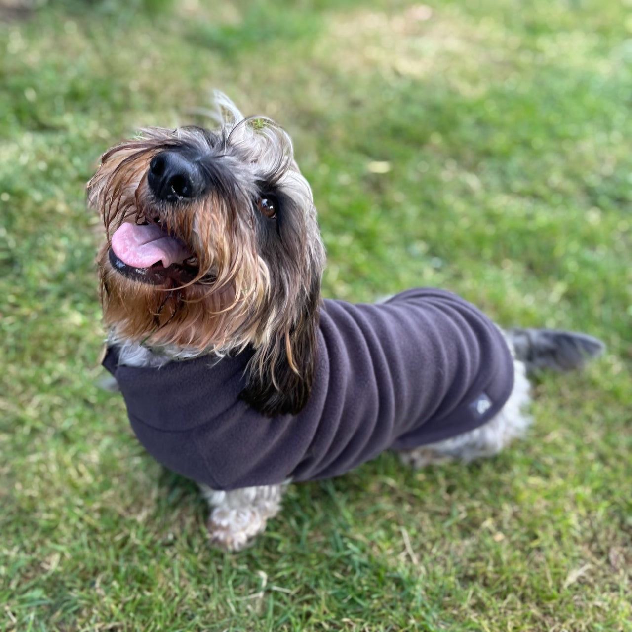 Equafleece Polo Neck Coat Hotterdog Dog Coat Buckingham Stork