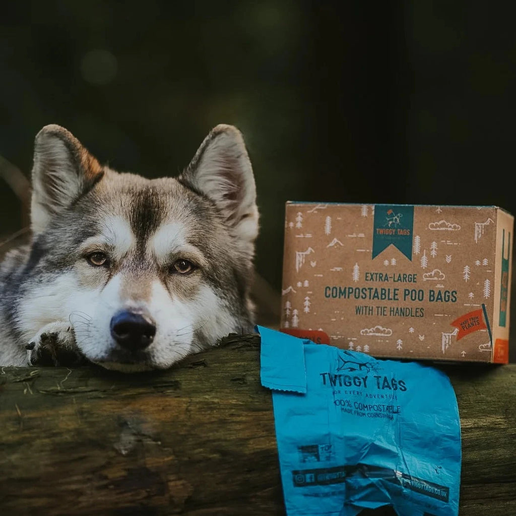 Twiggy Tags Compostable Poop Bags in Extra Large