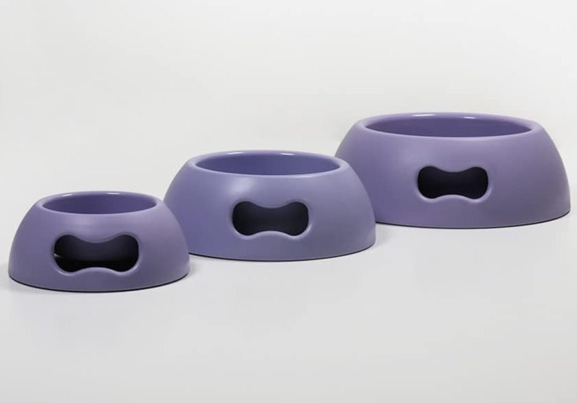 purple pappy bone dog bowl