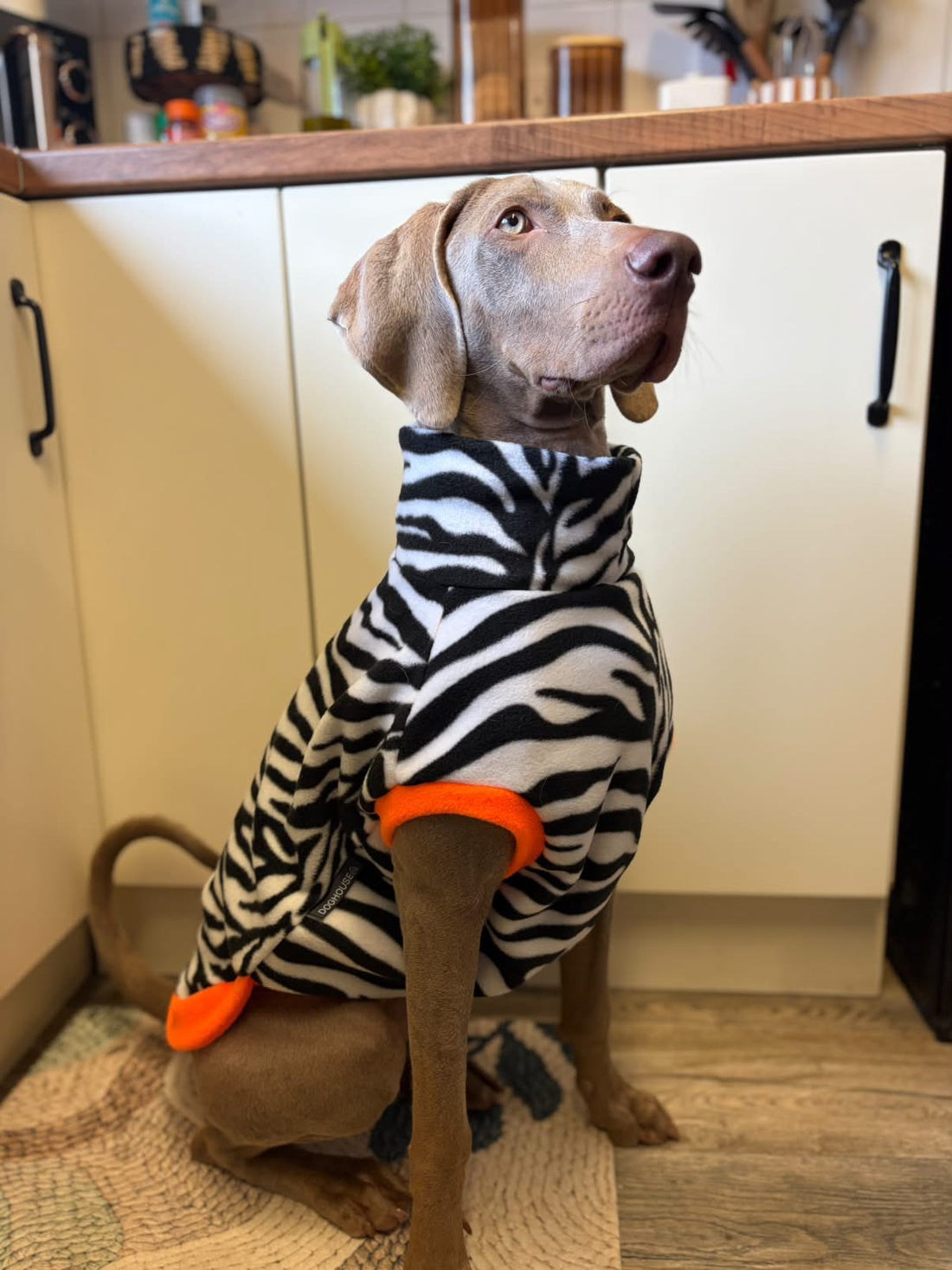 Dottie (@dottietheweim)