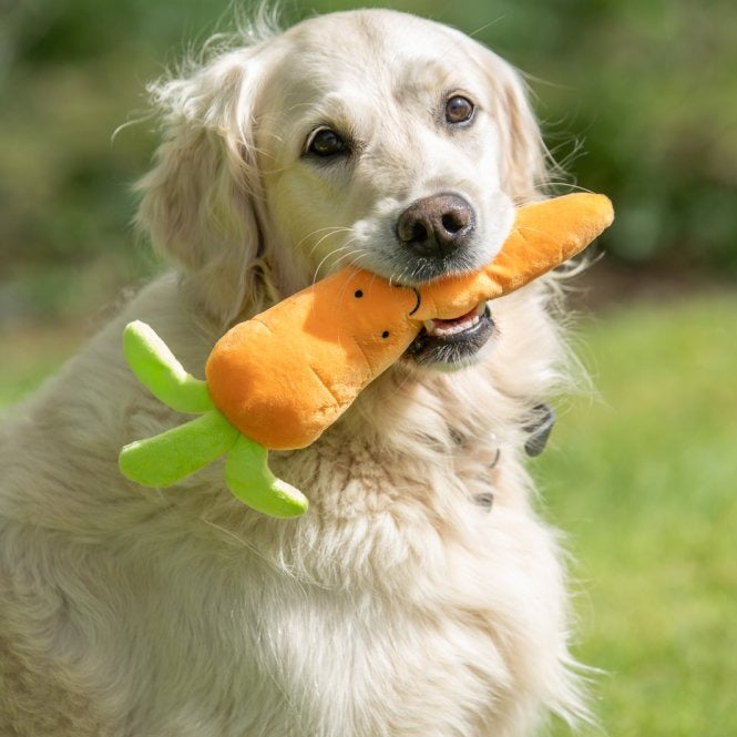 Foodie Faces Furry Carrot Dog Toy