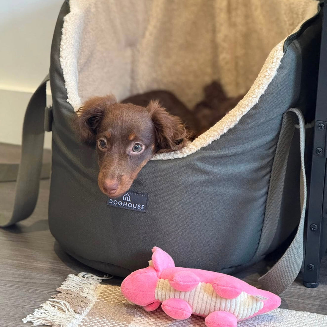 Violet (@violetthedoxi)