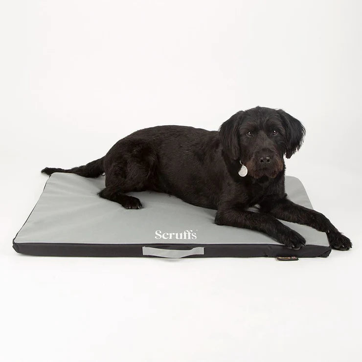 Scruffs Expedition Box Hundebett Graphite – Wasserdicht, Outdoor-geeignet, Größe S (50x40 Cm)